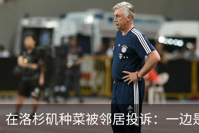 在洛杉矶种菜被邻居投诉：一边是中国人的乡愁，一边是美国人的规矩