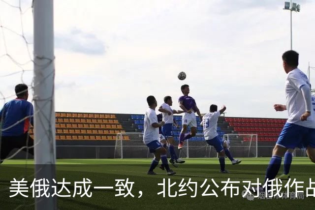 美俄达成一致，北约公布对俄作战计划，美若不参战，欧洲照打不误