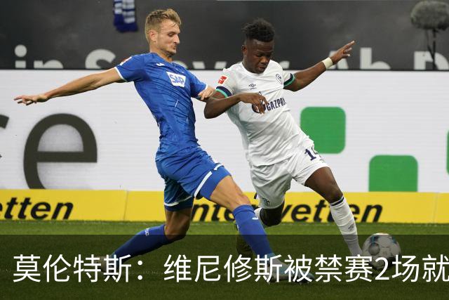莫伦特斯：维尼修斯被禁赛2场就绰绰有余，禁4场实在太离谱了