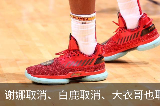 谢娜取消、白鹿取消、大衣哥也取消！只因他们踩了中国人3大雷区