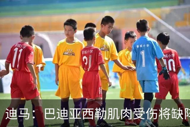 迪马：巴迪亚西勒肌肉受伤将缺阵一个月 斯皮纳佐拉无缘出战尤文