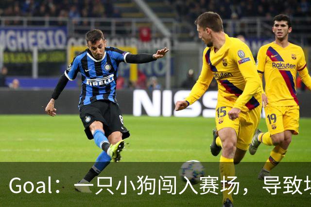 Goal：一只小狗闯入赛场，导致埃及联赛中断